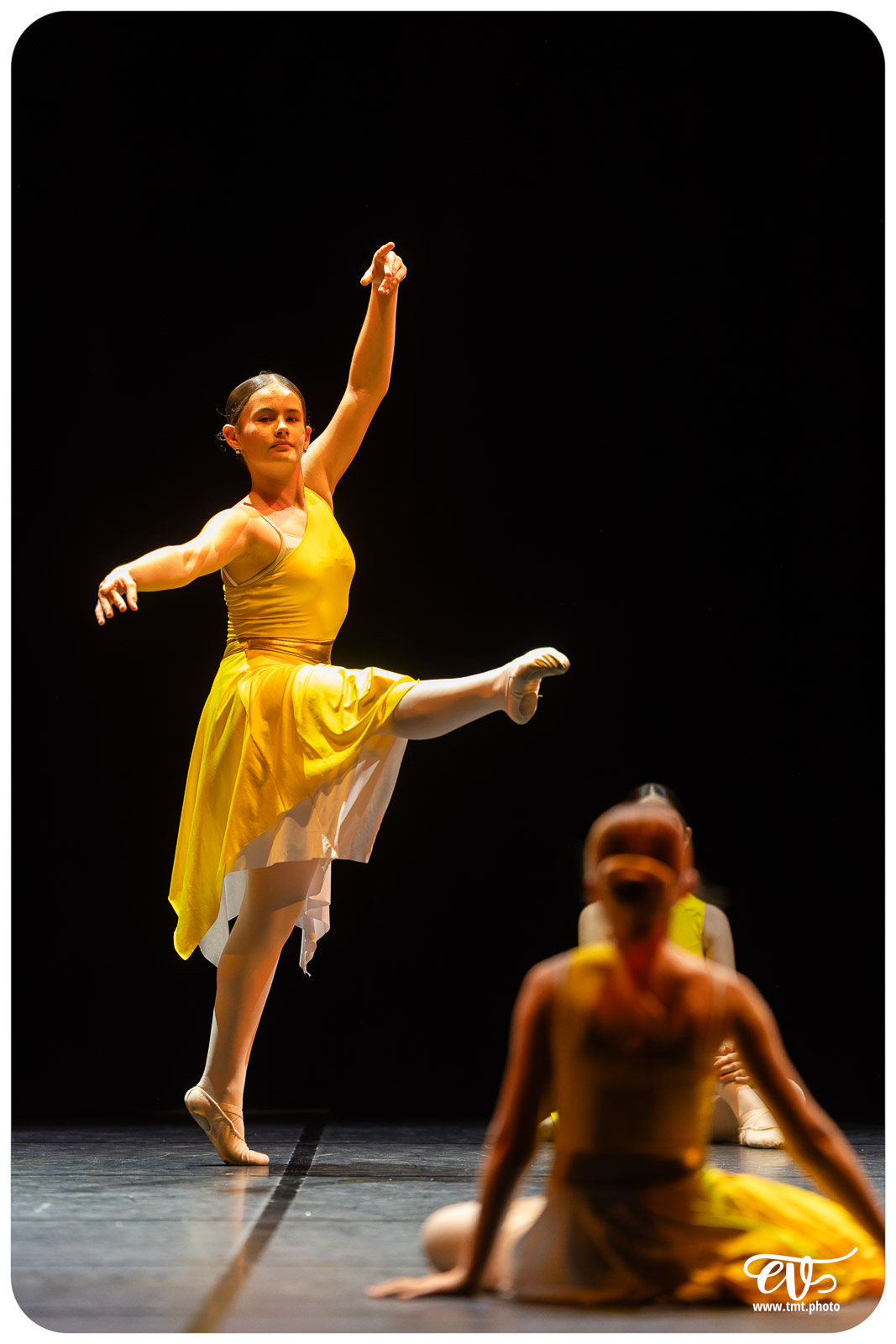 GALA DE DANSE 2026 EMMDH